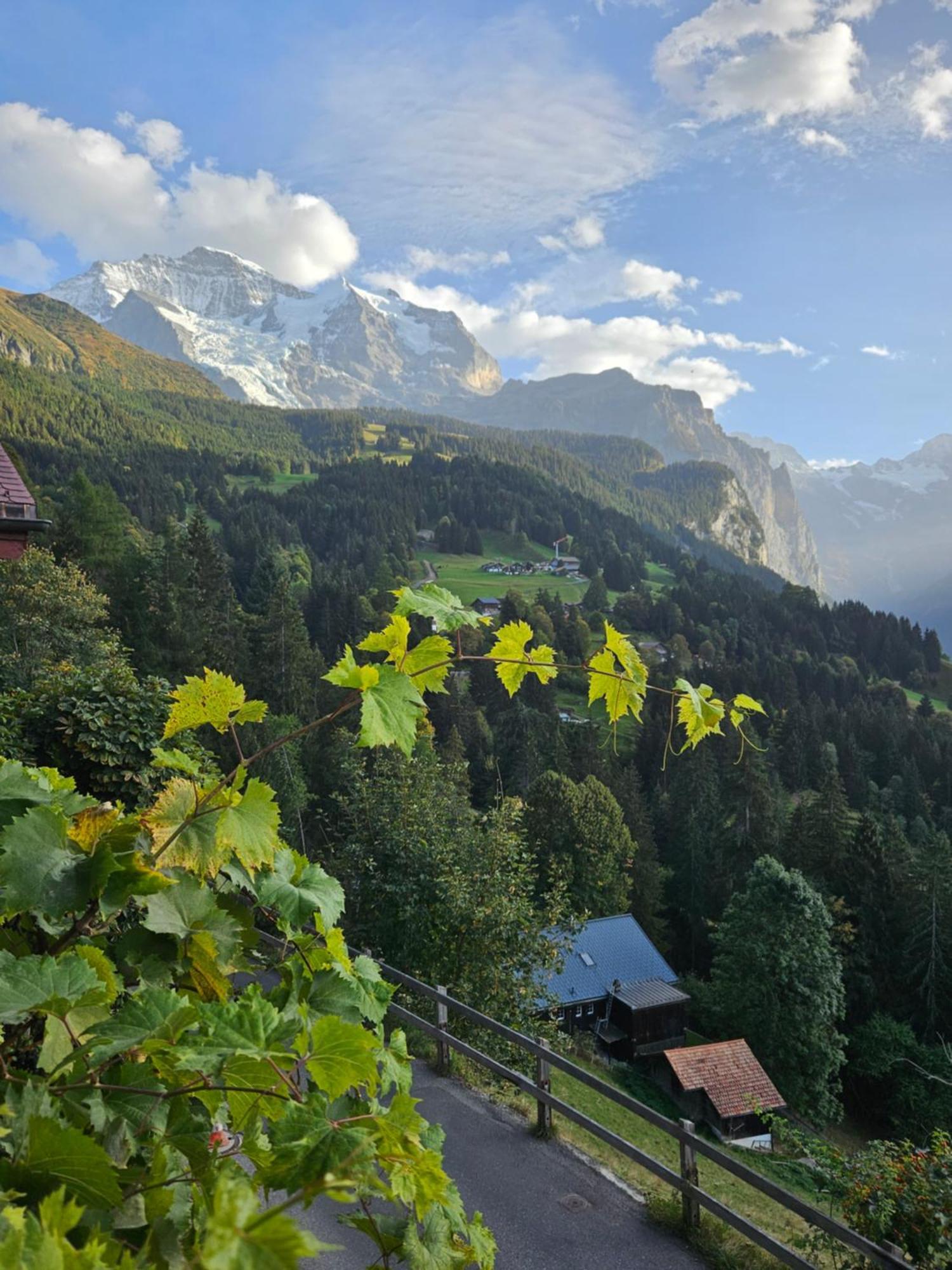 Chalet Aargovia South Wengen Extérieur photo